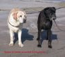 DSCN4736.JPG